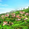 Ooty cover image