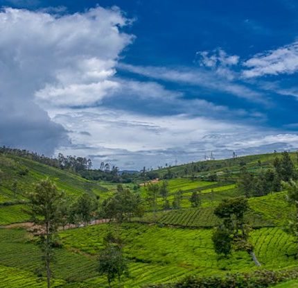 Explore Ooty and more: 4 nights / 5 days