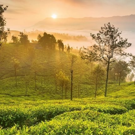 Admire the beautiful Ooty: 3 nights & 4 days