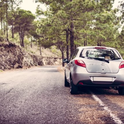 Roadtrip to Manali: 3N/4D